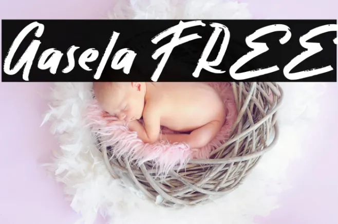 Gasela FREE Example 1
