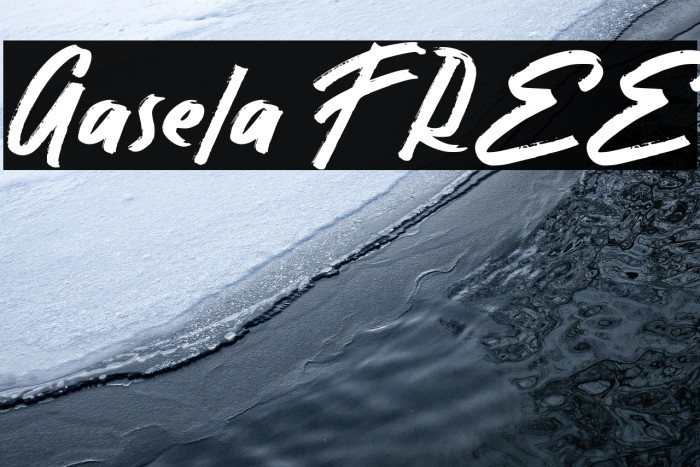 Gasela FREE Example 2