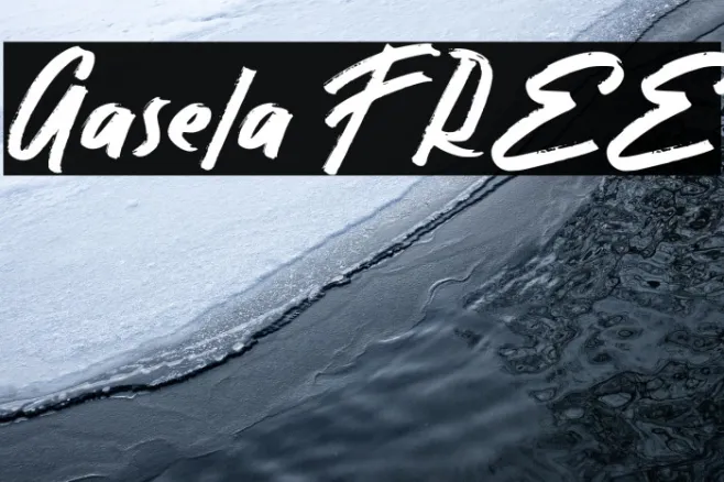 Gasela FREE Example 2