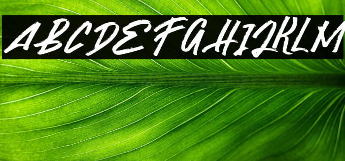 GaselaFREE Example 3