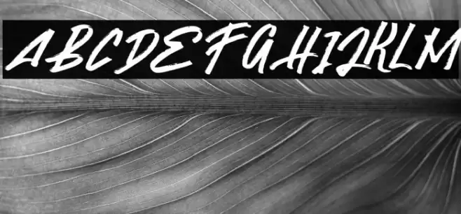 GaselaFREE Font examples