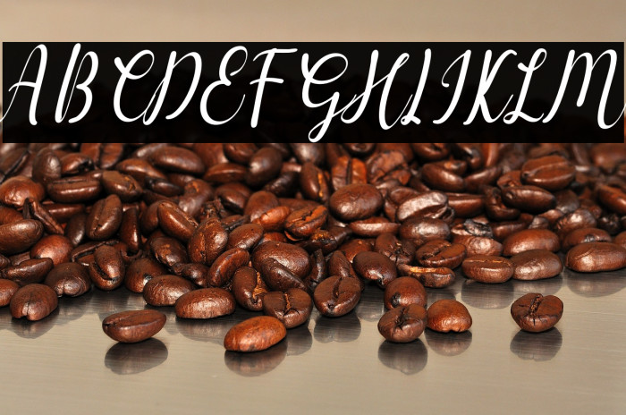 Gashina Italic Example 1