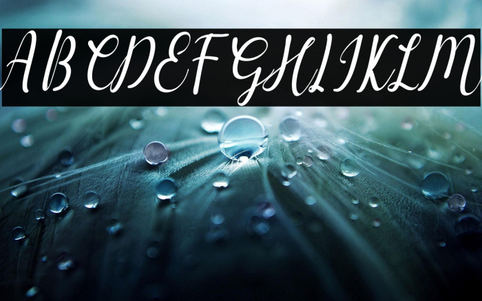 Gashina Italic Example 3