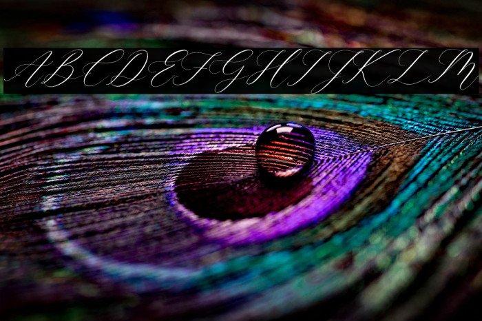 Gashina Lattiva Italic Example 2