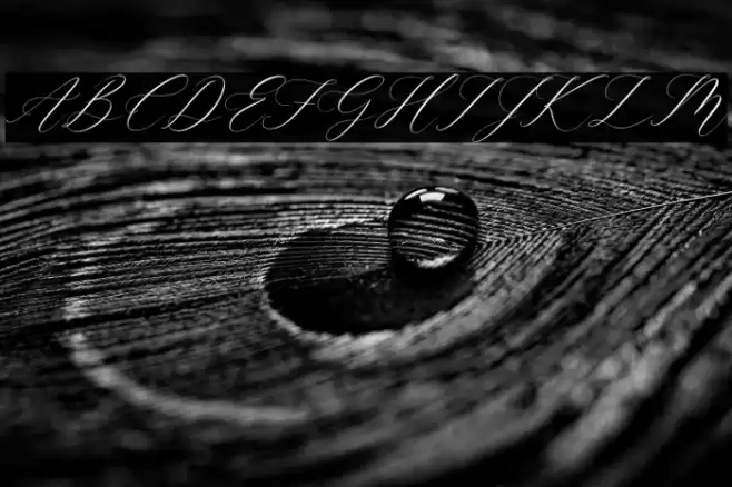 Gashina Lattiva Italic Font examples