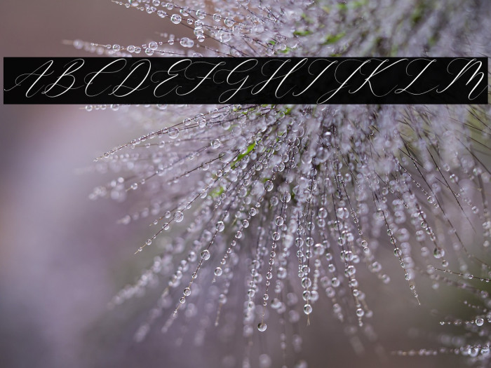 Gashina Lattiva Italic Example 3