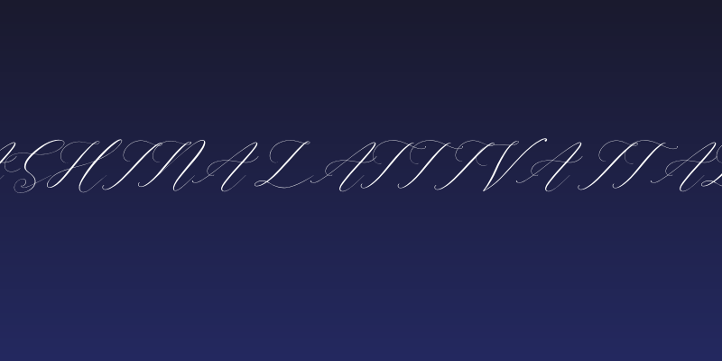 Gashina Lattiva Italic Social Header