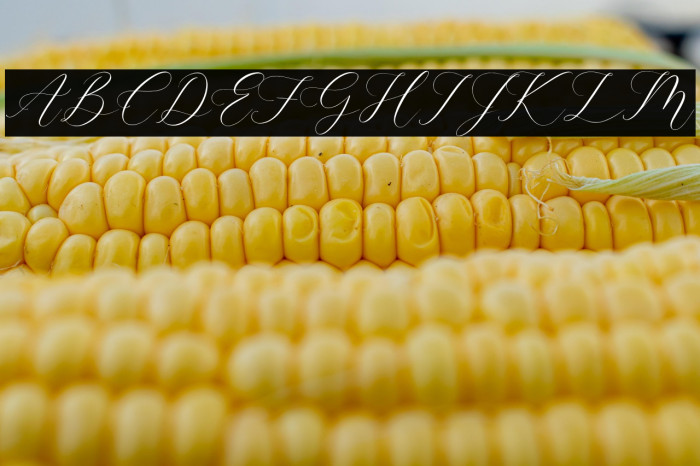 Gashina Lattiva Example 3