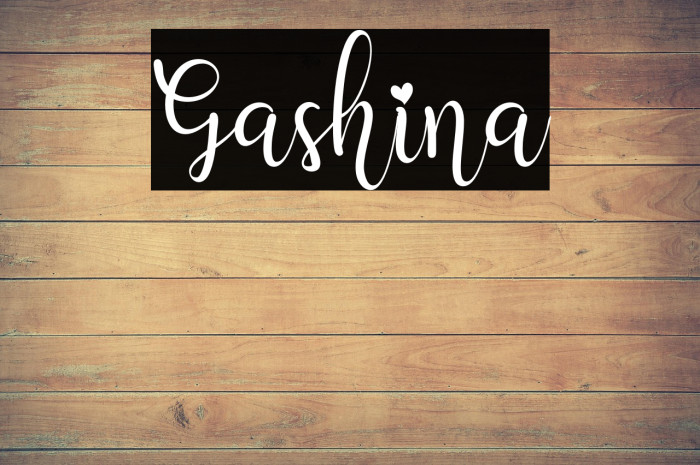Gashina Example 1