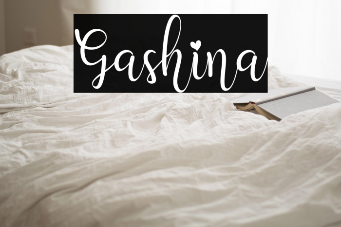 Gashina Example 2