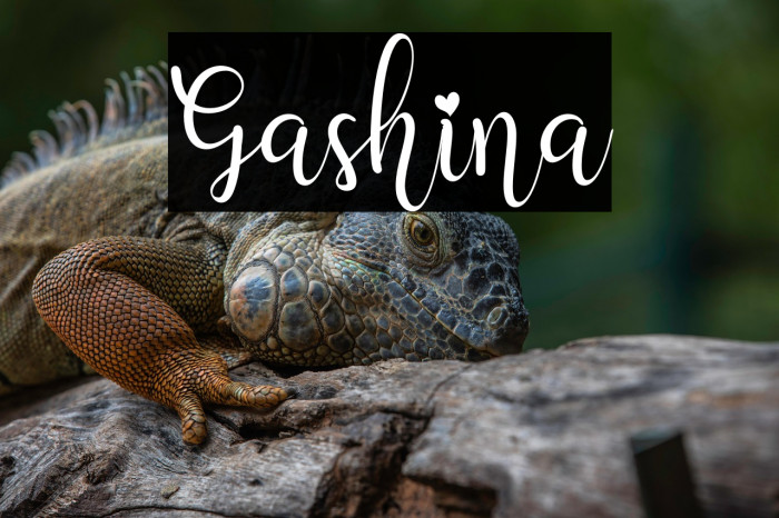Gashina Example 3
