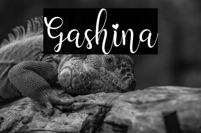 Gashina Font examples
