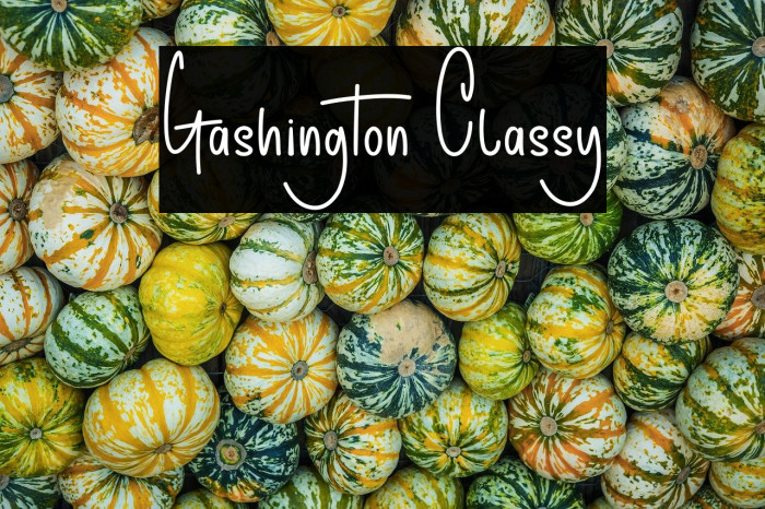 Gashington Classy Example 2