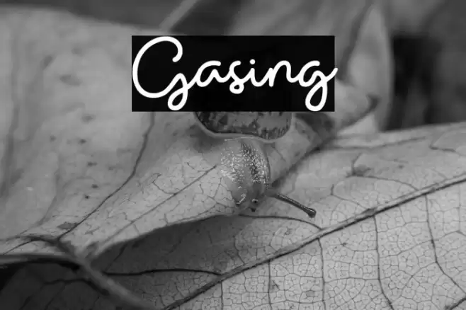Gasing Font examples