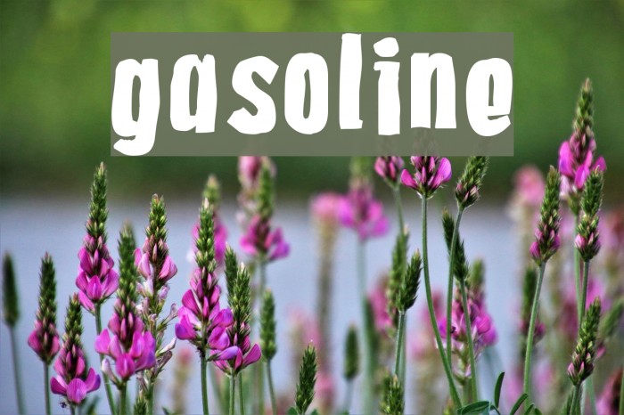 Gasoline Font examples