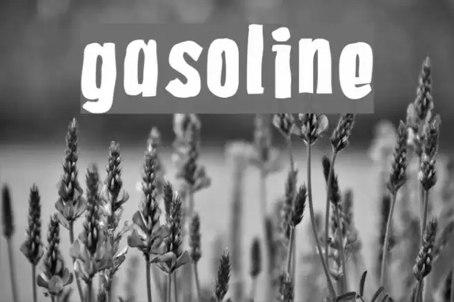 Gasoline Fonte examples