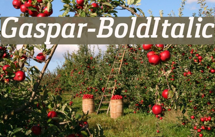 Gaspar-BoldItalic Font examples
