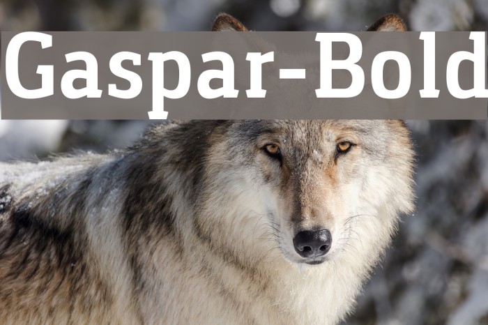 Gaspar-Bold Font examples
