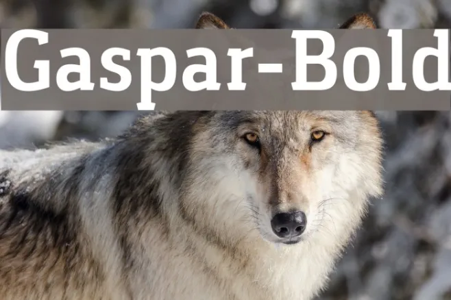 Gaspar-Bold Example 1