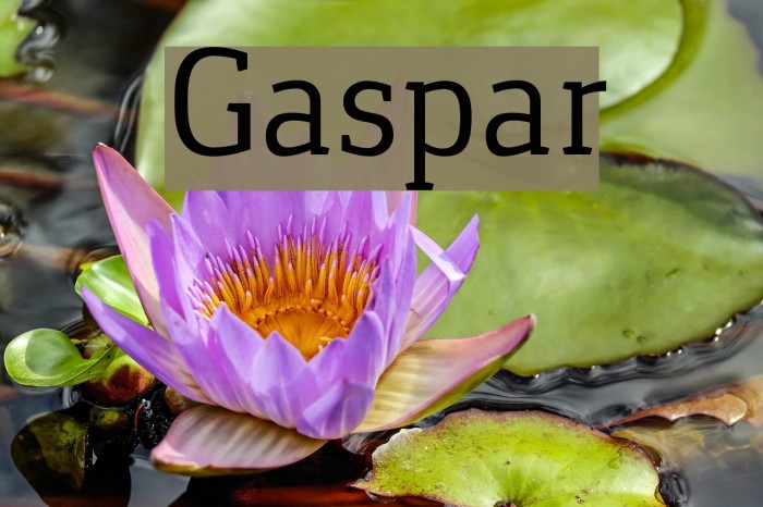 Gaspar Schriftart examples