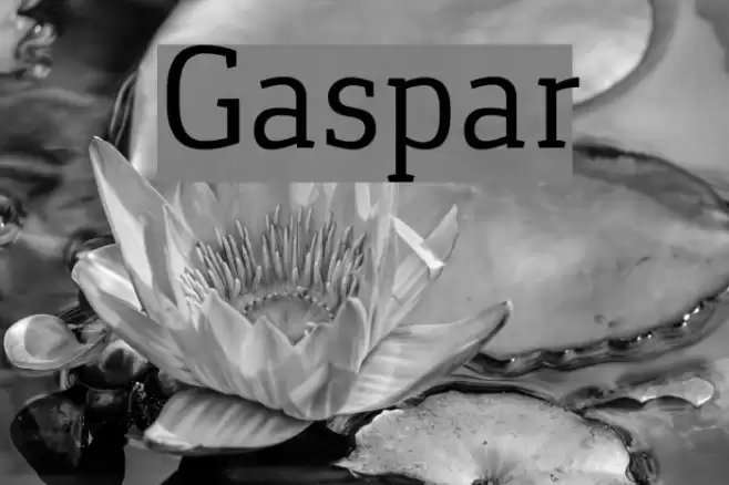Gaspar Font examples