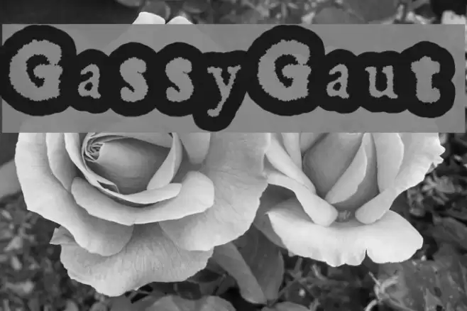 GassyGaut Font examples