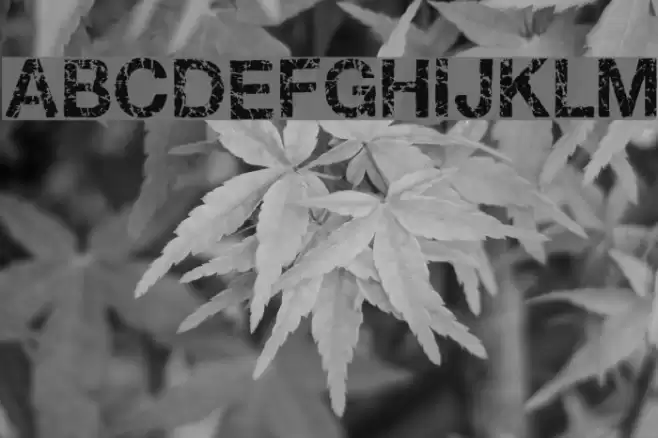 Gastada Font examples