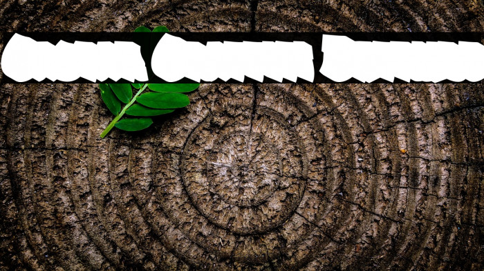 Gastar Graffiti Extrude Example 2