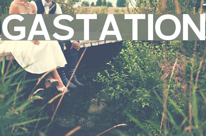 Gastation Font examples