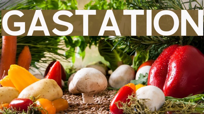 Gastation Font examples