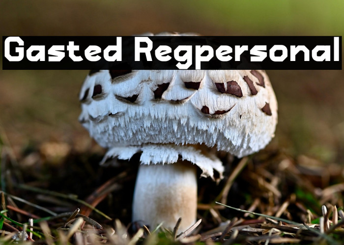 Gasted Regpersonal Example 1