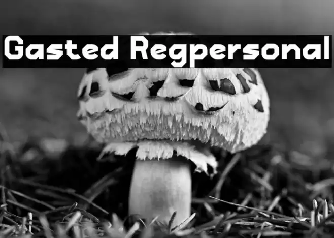 Gasted Regpersonal Font examples