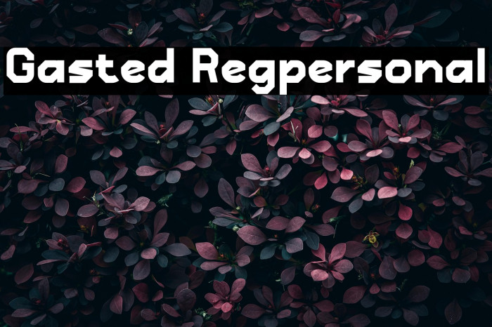 Gasted Regpersonal Example 3