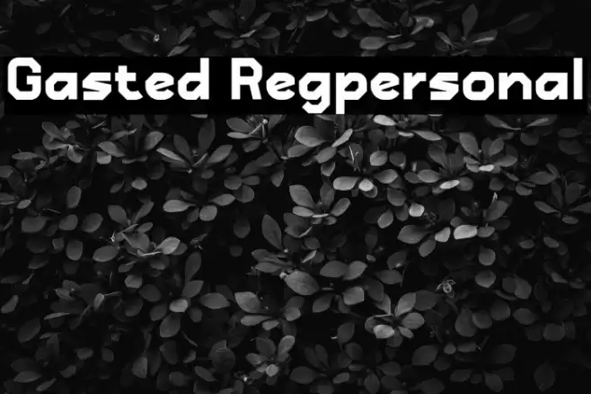 Gasted Regpersonal Font examples