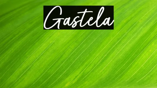Gastela Example 2