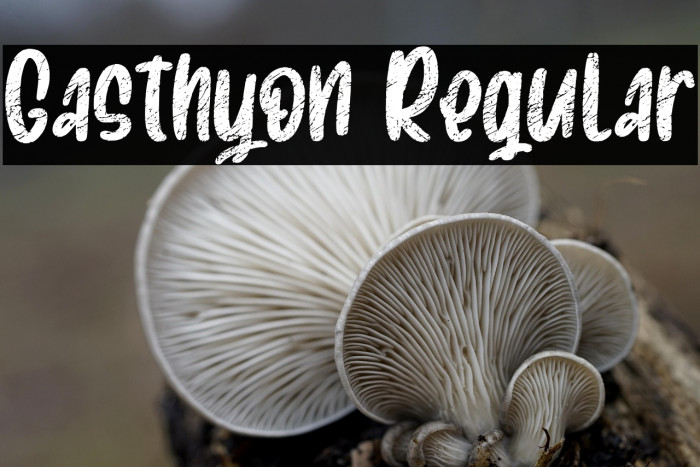 Gasthyon Regular Example 3