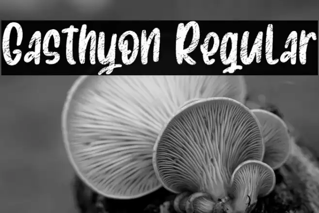 Gasthyon Regular Font examples