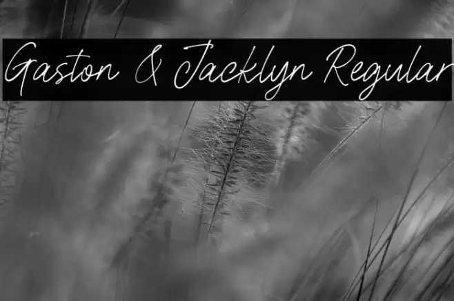 Gaston & Jacklyn Regular Font examples