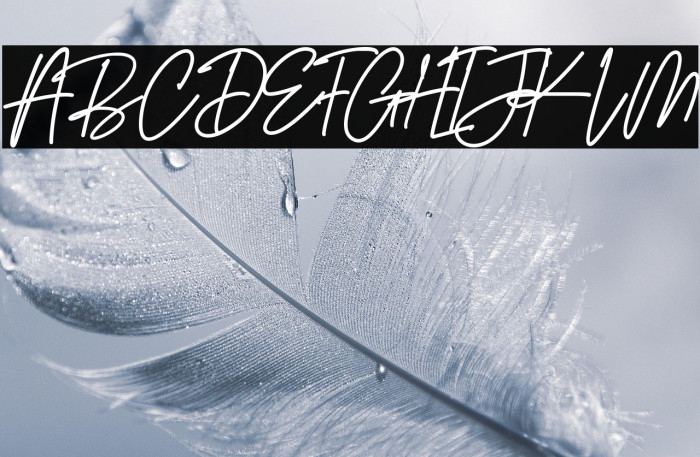 Gaston Villa Example 1