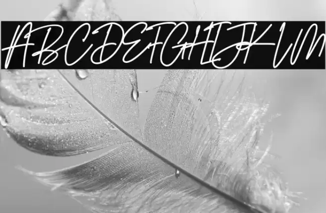 Gaston Villa Font examples