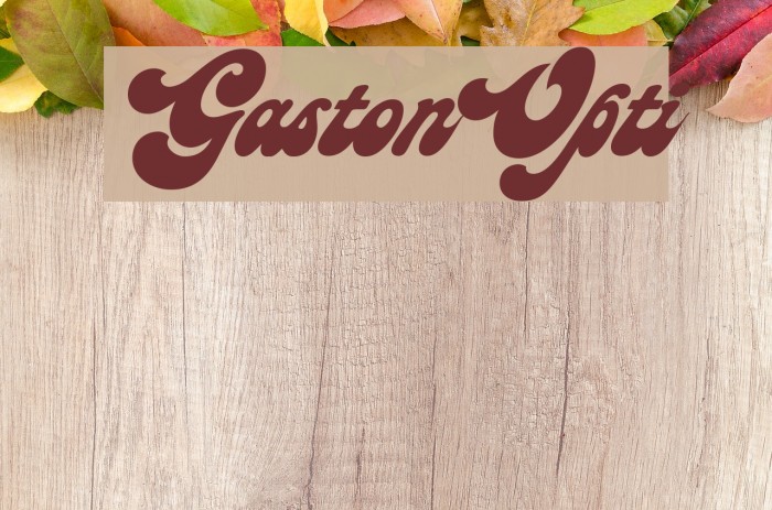 GastonOpti Example 1