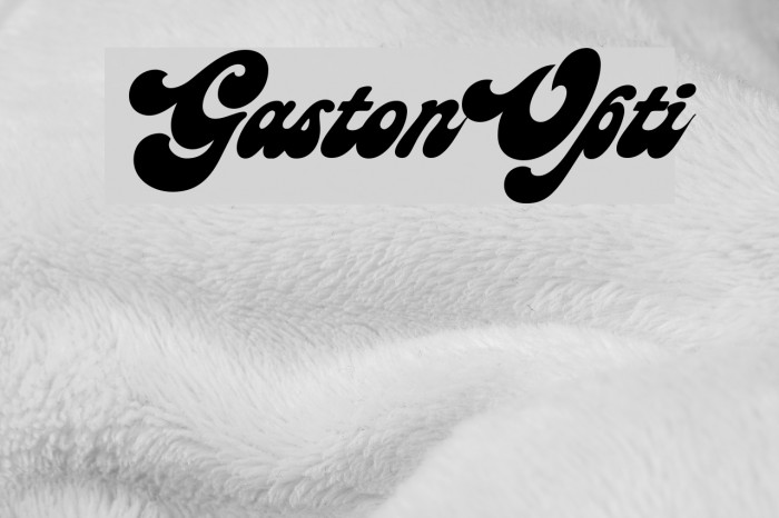 GastonOpti Example 2