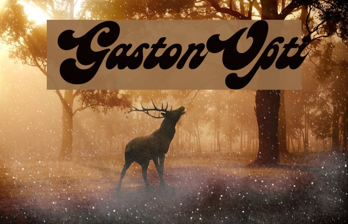 GastonOpti Example 3