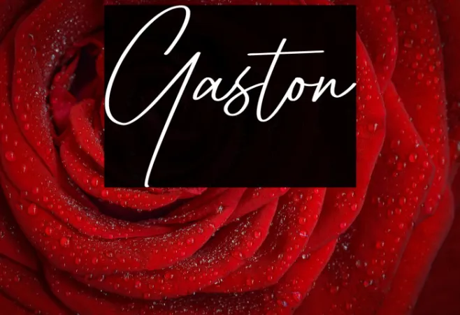 Gaston Example 1