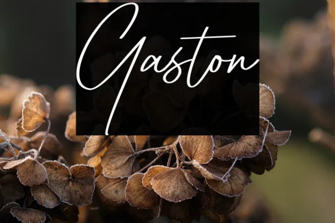 Gaston Example 2