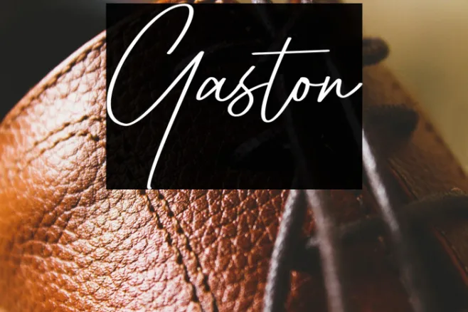 Gaston Example 3