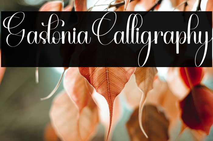 Gastonia Calligraphy Example 1
