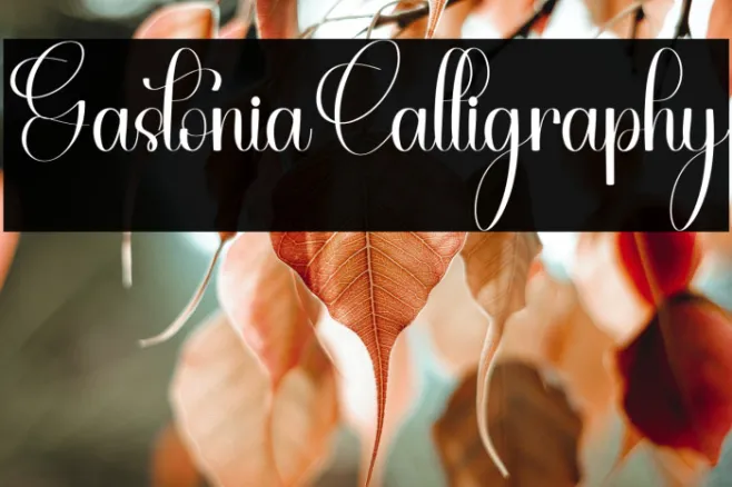 Gastonia Calligraphy Example 1
