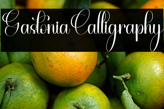 Gastonia Calligraphy Example 3
