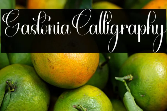 Gastonia Calligraphy Example 3